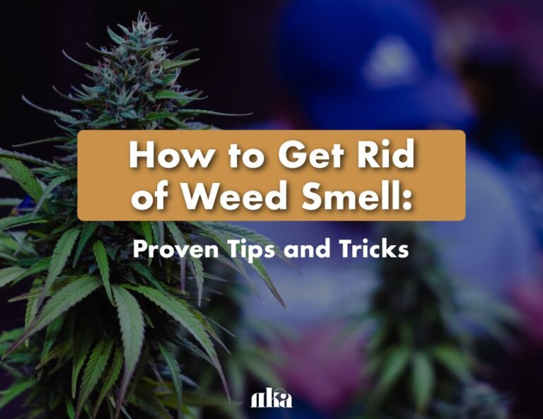 How to Eliminate Weed Smell from Car