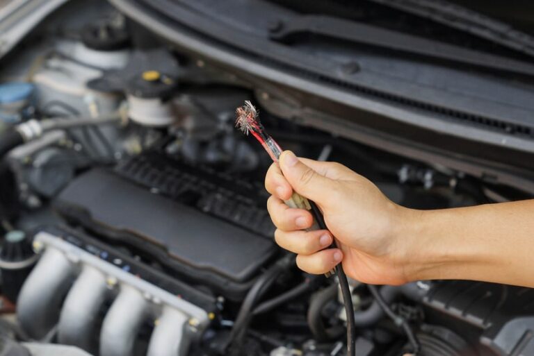 How to Prevent Rats from Eating Car Wires