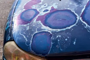 How to Protect Car Paint from Sun