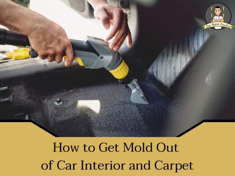 How to Remove Mold from Car