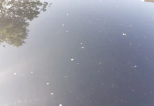 How to Remove Sticky Residue from Car Exterior