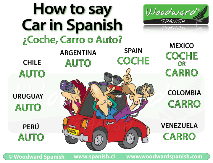 What is Car in Spanish