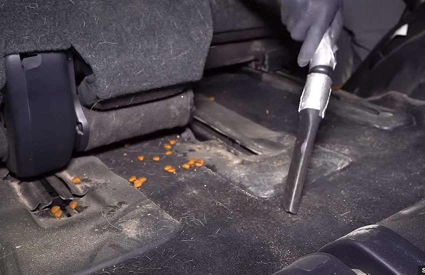 How to Steam Clean Car Seats