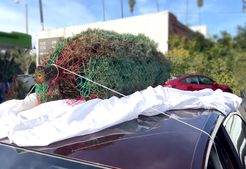 How to Tie Christmas Tree to Car