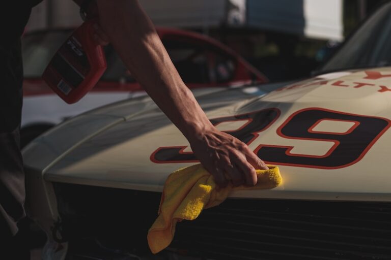 How to Clean Mold Out of Car