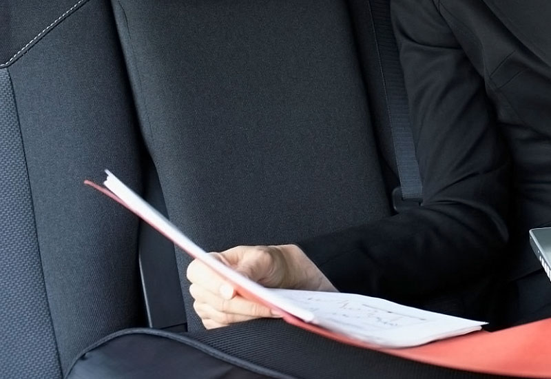 How to Get Rid of Flies in Your Car
